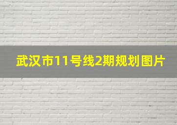 武汉市11号线2期规划图片