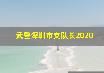 武警深圳市支队长2020