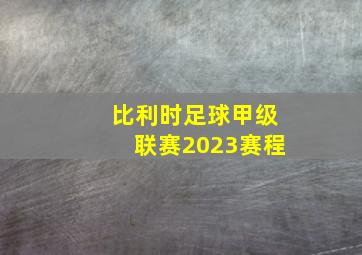 比利时足球甲级联赛2023赛程