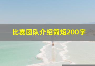 比赛团队介绍简短200字