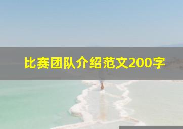 比赛团队介绍范文200字