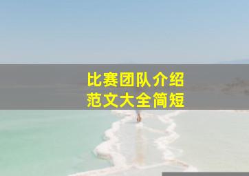 比赛团队介绍范文大全简短