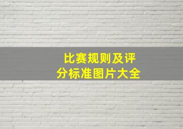 比赛规则及评分标准图片大全