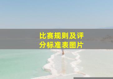 比赛规则及评分标准表图片