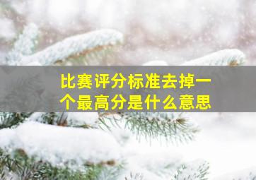 比赛评分标准去掉一个最高分是什么意思