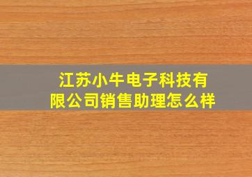 江苏小牛电子科技有限公司销售助理怎么样