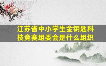 江苏省中小学生金钥匙科技竞赛组委会是什么组织