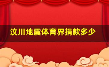 汶川地震体育界捐款多少