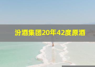 汾酒集团20年42度原酒