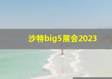 沙特big5展会2023