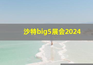 沙特big5展会2024