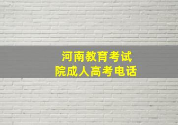 河南教育考试院成人高考电话