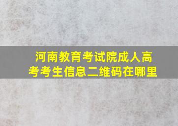 河南教育考试院成人高考考生信息二维码在哪里