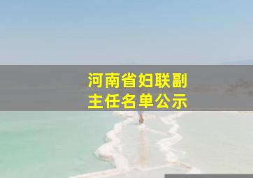 河南省妇联副主任名单公示