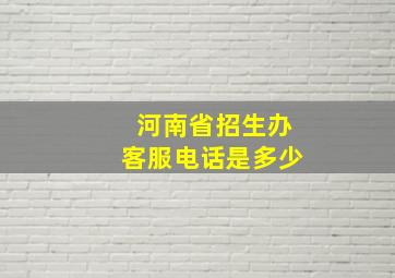 河南省招生办客服电话是多少