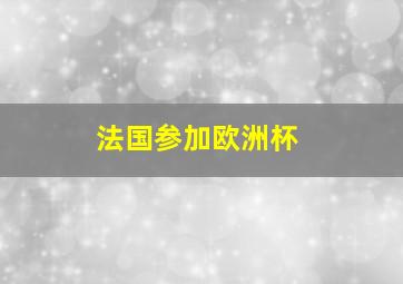 法国参加欧洲杯