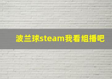 波兰球steam我看组播吧