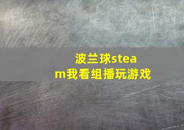 波兰球steam我看组播玩游戏