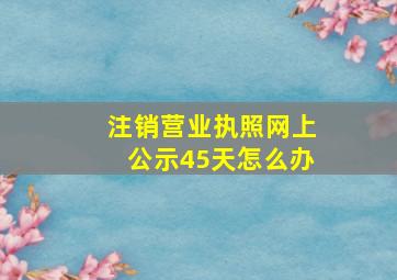 注销营业执照网上公示45天怎么办