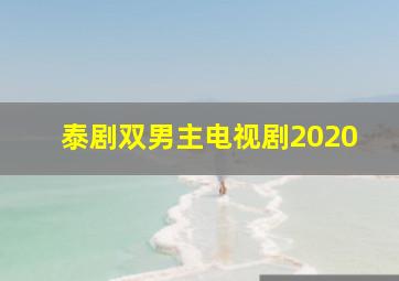 泰剧双男主电视剧2020