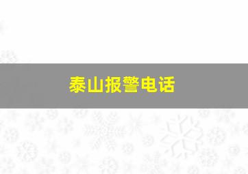 泰山报警电话