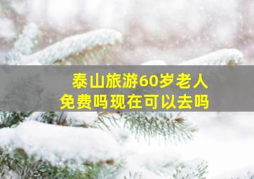 泰山旅游60岁老人免费吗现在可以去吗