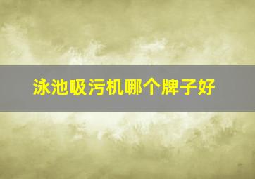 泳池吸污机哪个牌子好