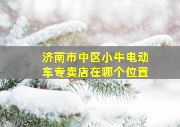 济南市中区小牛电动车专卖店在哪个位置