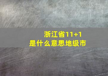 浙江省11+1是什么意思地级市