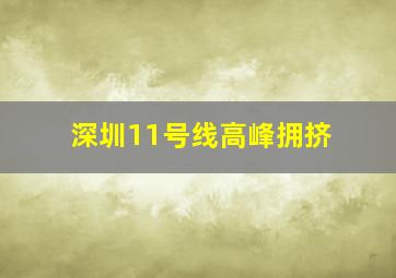 深圳11号线高峰拥挤