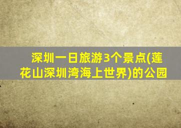 深圳一日旅游3个景点(莲花山深圳湾海上世界)的公园