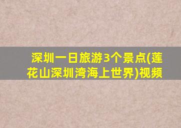 深圳一日旅游3个景点(莲花山深圳湾海上世界)视频