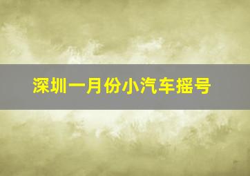 深圳一月份小汽车摇号