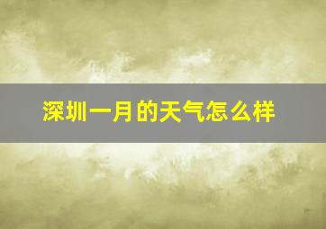 深圳一月的天气怎么样