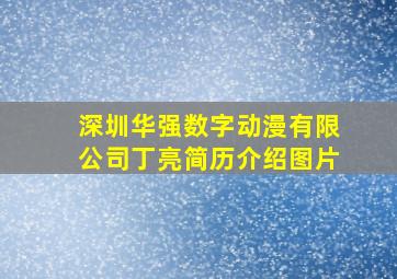 深圳华强数字动漫有限公司丁亮简历介绍图片