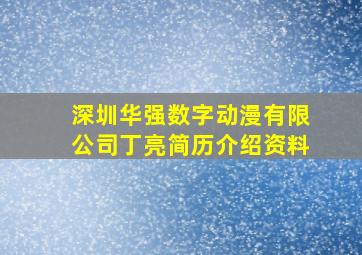 深圳华强数字动漫有限公司丁亮简历介绍资料