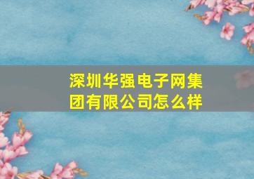 深圳华强电子网集团有限公司怎么样