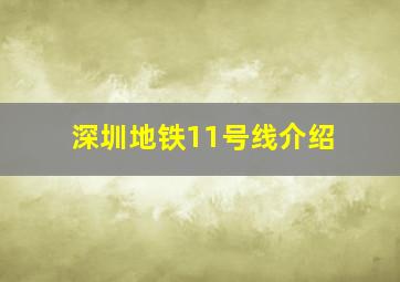 深圳地铁11号线介绍