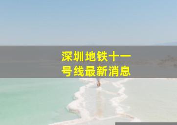 深圳地铁十一号线最新消息