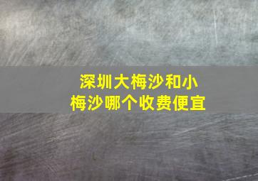 深圳大梅沙和小梅沙哪个收费便宜