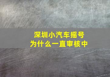 深圳小汽车摇号为什么一直审核中