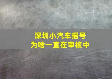 深圳小汽车摇号为啥一直在审核中