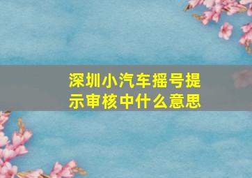 深圳小汽车摇号提示审核中什么意思