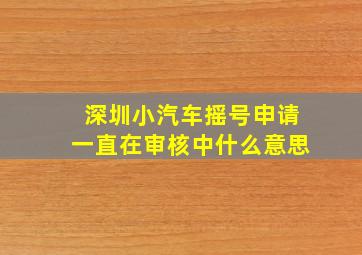 深圳小汽车摇号申请一直在审核中什么意思