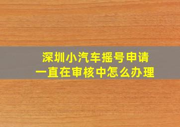 深圳小汽车摇号申请一直在审核中怎么办理