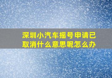 深圳小汽车摇号申请已取消什么意思呢怎么办