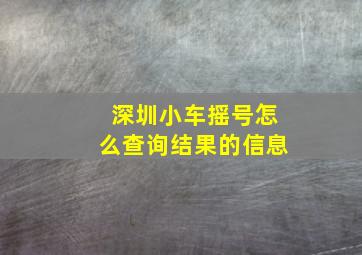 深圳小车摇号怎么查询结果的信息