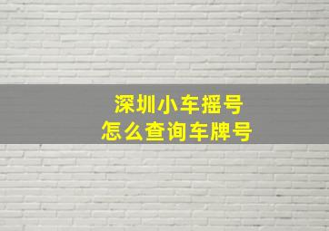 深圳小车摇号怎么查询车牌号