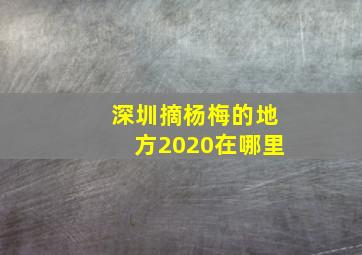 深圳摘杨梅的地方2020在哪里