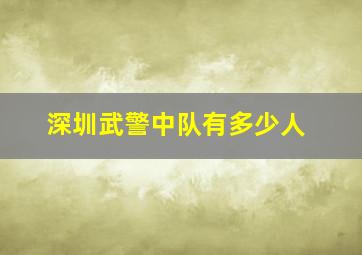 深圳武警中队有多少人